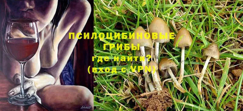 Галлюциногенные грибы Psilocybine cubensis  ОМГ ОМГ зеркало  Задонск 