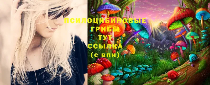 Галлюциногенные грибы Magic Shrooms Задонск